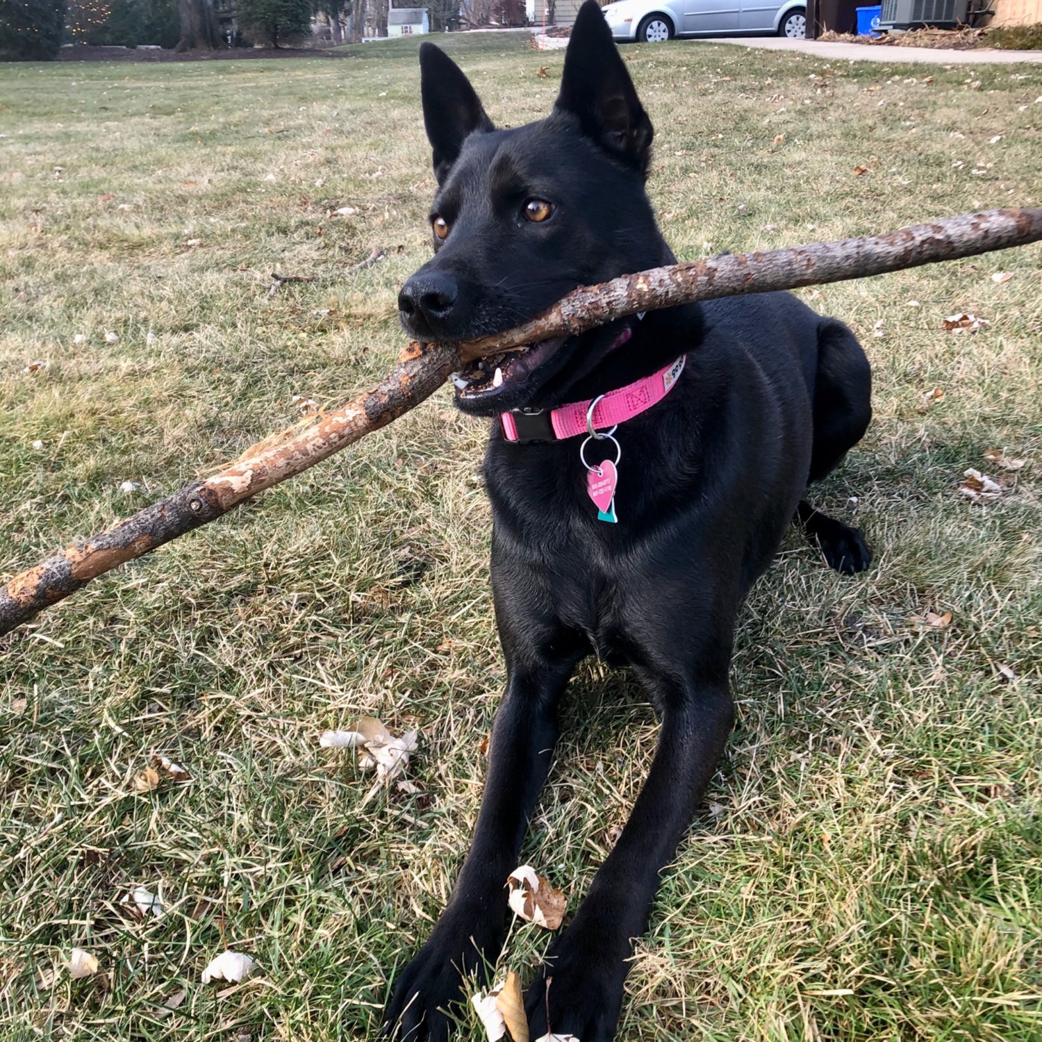 Vashka