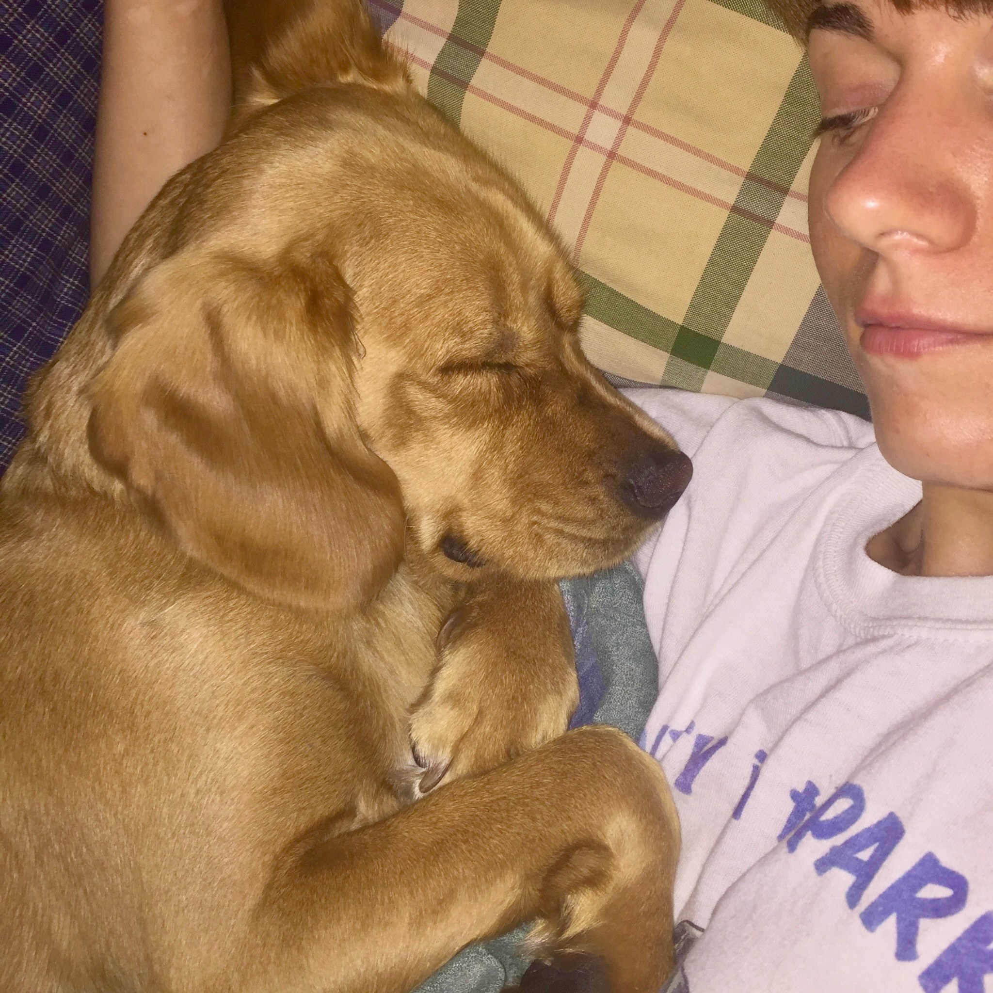 Mickey resting peacefully in Christy’s arms
